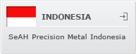 indonesia